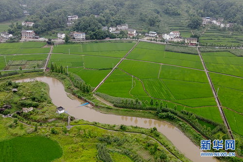 重庆 地质调查让农产品 身价 涨起来
